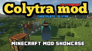 Minecraft 1165  Colytra mod [upl. by Einnalem]