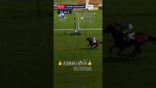 Zarkava’s granddaughter ZARIGANA wins the G3 Prix D’Aumale😎👏 [upl. by Fish]