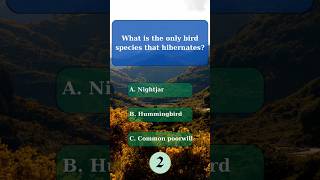 General Knowledge Quiz part 46  Nature Quiz GeneralKnowledgeQuiz NatureQuiz NaturalWorld quiz [upl. by Islehc520]