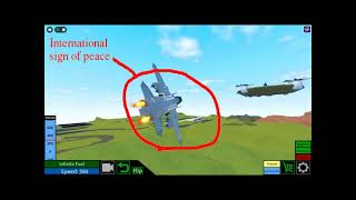 f14 quottomcatquot showcase Plane Crazy [upl. by Jori670]