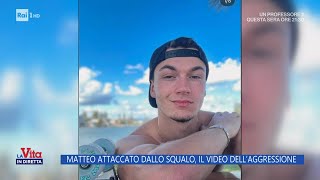 Matteo attaccato dallo squalo il video dellaggressione  La vita in diretta 12122023 [upl. by Mauralia184]