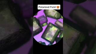 🧊Sugar Under Brightfield Dark field amp Polarized Field Microscope microscope amscope science [upl. by Tonia]