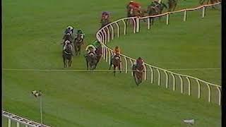 1992 Supreme Novice Hurdle Flown  Replay [upl. by Mari138]