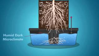 Octopot Soil Hydro Hybrid Grow Systems  Better than DWC Systems or Ebb and Flow Growing Systems [upl. by Lamag]