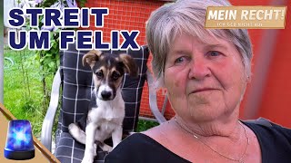 Verzweiflung beim Frauchen Sorgerechtsstreit um den Hund 🐶 Mein Recht Ich geb nicht auf  ATV [upl. by Samantha]