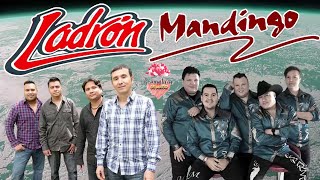 GRUPO LADRÓN ft MANDINGO  SUS MEJORES CANCIONES MIX ROMANTICAS 2023 [upl. by Bev]