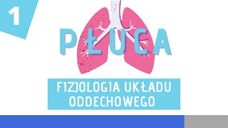 Fizjologia układu oddechowego cz 1 [upl. by Hak]