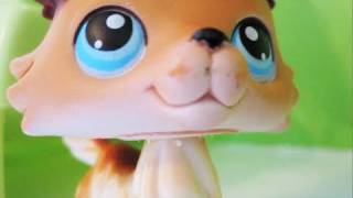 Littlest Pet Shop Popular Episode 7 Alls Fair in Love and War [upl. by Dilahk]