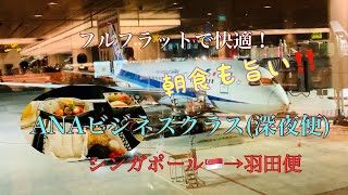 フルフラットで寝れて朝食も旨い😋ANAビジネスクラス深夜便シンガポール🇸🇬→羽田 [upl. by Tabshey]