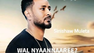 Sinishaw Muleta new music oromo video [upl. by Lucas862]