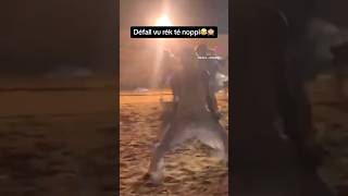 Sénégal mo nex 😂😂😂 [upl. by Ordnazil970]