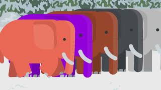 Elephant Colors Learning  Color Learning for Kids  kidscolorvideo babylionrhymes [upl. by Hirst792]