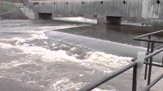 Ammonoosuc River and Connecticut River Flood Stage [upl. by Nilam332]