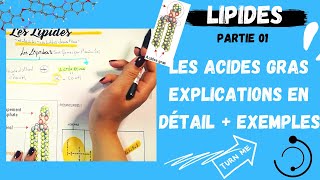 📣1 Les Lipides Partie1 Les Acides Gras explication en détail  des exemplesاقوى مراجعة لللبيدات [upl. by Gearalt]