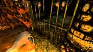 Amnesia The Dark Descent  Walkthrough Part 22 Orb Chamber With All 4 Endings [upl. by Nareht415]