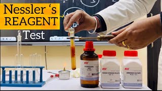 Nesslers reagent test for ammonium Nesslers reagent preparation Pandey Ji [upl. by Znieh]