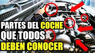 PARTES DEL MOTOR DE UN COCHE  Aprende a revisar el motor de tu auto  Cuánto Gana [upl. by Revart888]