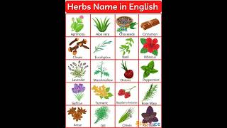 Herbs Name [upl. by Jolie]