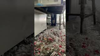 PET shredding and recycling  Plastic shredder [upl. by Alleuol]