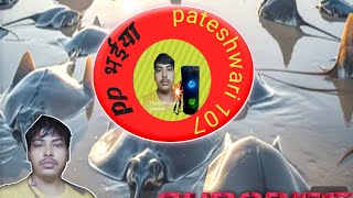 Pateshwari 107 chnnal is live [upl. by Ateekahs]