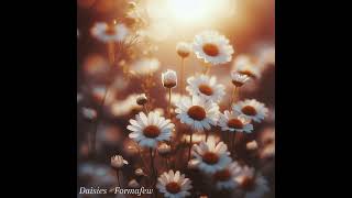 Daisies  Formafew [upl. by Lydie490]