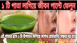 এই পাতার রসে কি মেশালে খুব তারাতাড়ি মেছতা দূর হয়ে দাগহীন ফর্সা ত্বক পাবেনmesta dur korar upayমেছতা [upl. by Berwick]