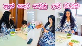 දැන් දවස් ගෙවෙනවා වෙනස් 🥹 අලුත් ගෙදර උදේ වරුව  LIFE IN JAPAN 🇯🇵 [upl. by Merceer]