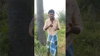 panaimarathan panayal solla poram video viral shorts subscribe pannaga [upl. by Sukramaj]