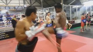 Buakaw Por Pramuks Insane Training Kicks [upl. by Aihsemot]