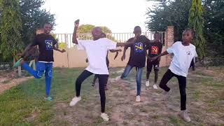 Teejay Drift amapiano official dance video [upl. by Eonak]