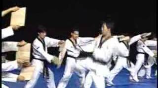 Korean National Taekwondo Demo Team [upl. by Riedel]