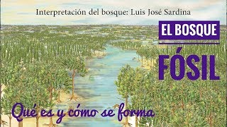 Bosque Fósil Te explico cómo se forman y qué son [upl. by Buttaro]