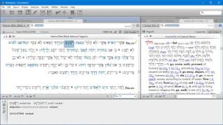 Locating Hebrew Nouns Using Accordance [upl. by Chivers985]