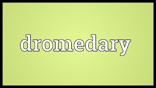 Dromedary Meaning [upl. by Irina140]