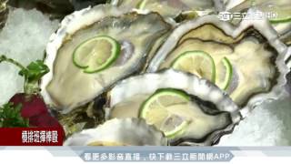 「比臉大生蠔」吃到飽！2個月狂嗑36萬顆｜三立新聞台 [upl. by Whitehurst]