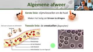 Bio Het immuunsysteem koorts algemene en specifieke afweer  Gezondheid 8 [upl. by Tnairb]