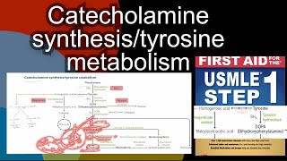 Phenylketonuria  phenylalanine embryopathy in HindiUrdu by first aid for USMLE step 1 [upl. by Raynard]