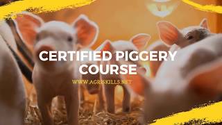 Piggery Short Course at Agri Skills  Learn to farm with pigs profitably [upl. by Betsey]