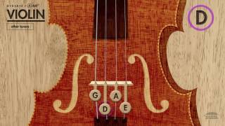 Violin Tuner GDAE in A 440Hz [upl. by Htebazil]