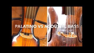 Palatino vs Acoustic Double Bass line out sound check [upl. by Holleran]