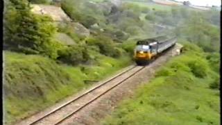 50017 climbs Honiton bank at Willmington Farm [upl. by Dobb]