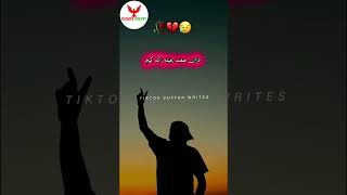 Za De Pa Husan Mayen Na Yam  Pushto Poetry 2024 [upl. by Orelie]