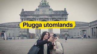 Plugga utomlands under dina studier [upl. by Anneres407]