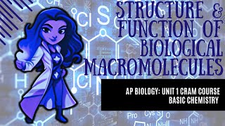 AP Biology College Prep CRASH CRAM COURSE Unit 1 Chemistry of Life Function of Macromolecules [upl. by Starlene]