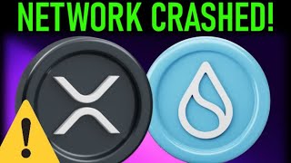 🚨XRP SUI PAYMENTS PLUMMET n NETWORK CRASHES🚨 [upl. by Aynekat]