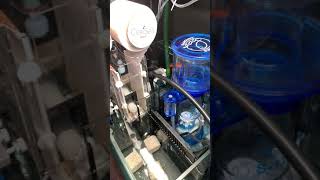 Red Sea Reefer 250 with sump setup [upl. by Mirak269]