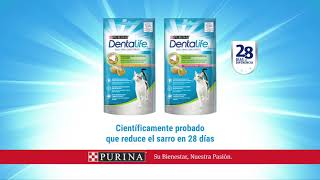 Purina® Dentalife® para Gatos [upl. by Molly]