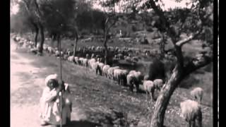 A Punjab Village  Silent Documentry Movie 1925 [upl. by Doretta]