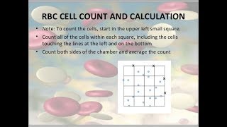 how to count RBC cell in Neubauer improved counting chamber Bangla [upl. by Namar]