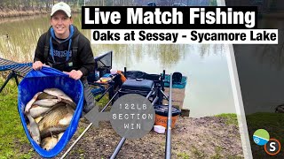 Live Match Fishing  The Oaks at Sessay Sycamore Lake [upl. by Tuesday113]